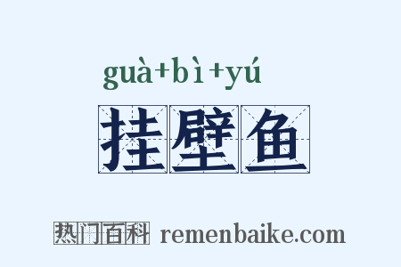 挂壁鱼是什么意思的图片